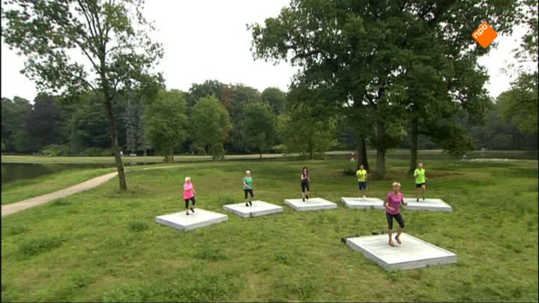 Nederland in Beweging